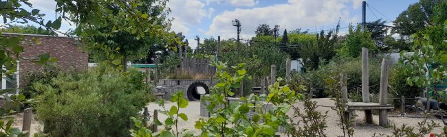 img-20240322-wa0067_53610529306_o