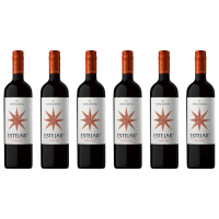Santa Carolina Estelar Carmenère doos van 6 fl.