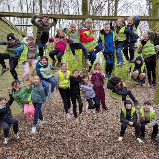 Previous